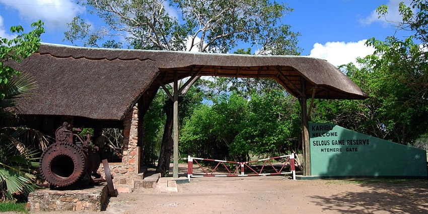 Southern Safari 1